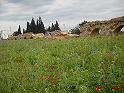 Carthage - Oued Milline Nikon 087